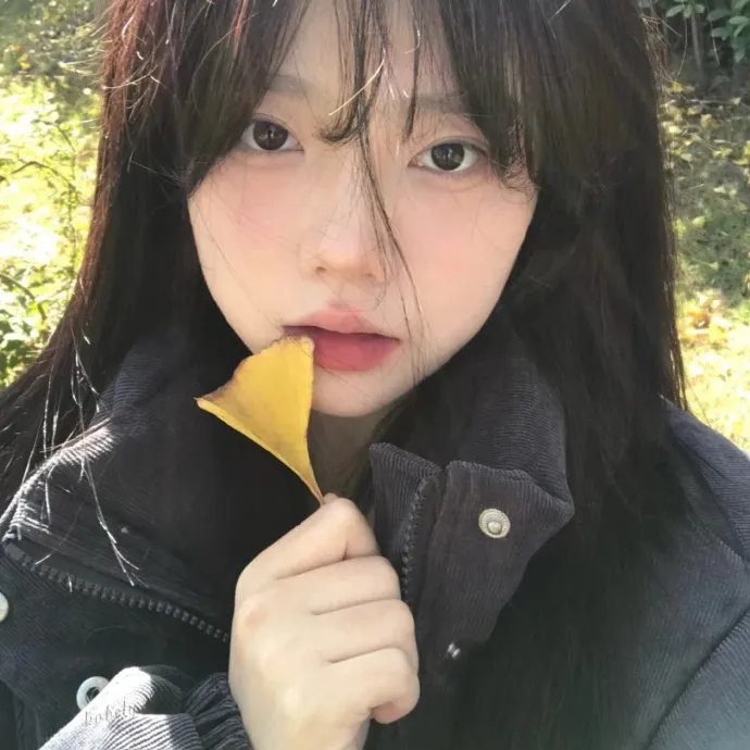 间谍兔洞第一季